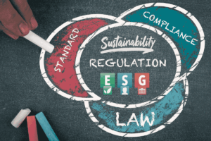 Copia di Elisa articolo blog