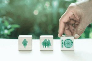 ISO e Bilancio di Sostenibilita